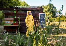 꿀벌 60만마리 관리하는 람보르기니, 세계 꿀벌의 날 맞아 연구 기술 공개