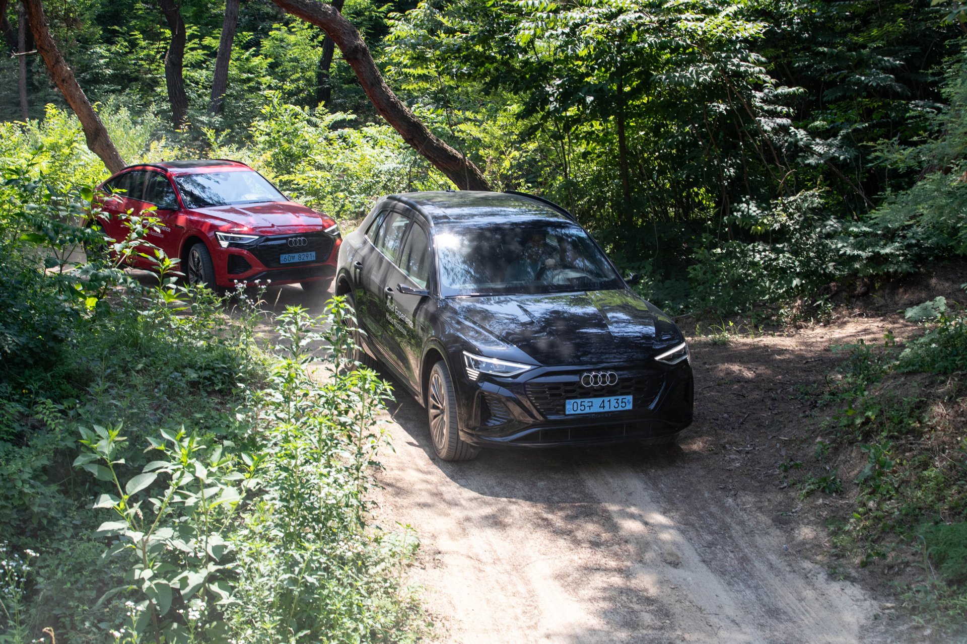 이름 빼고 다 마음에 드는 아우디 Q8 e-트론 [시승기]